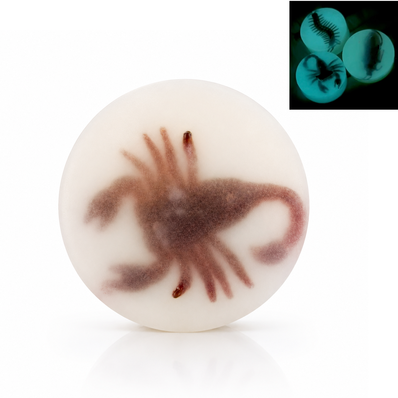 Glow in the Dark Bug Soap