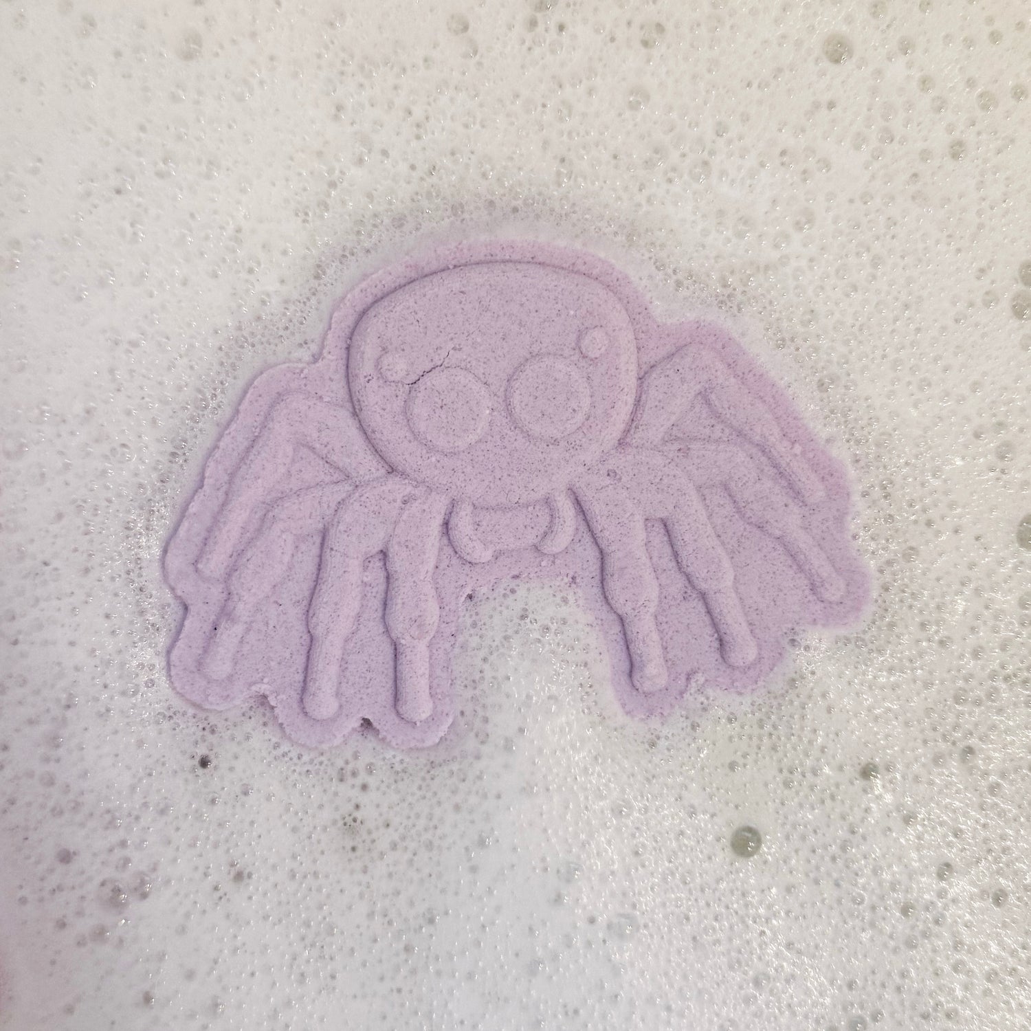 Natural Spider Prize Bath Bomb